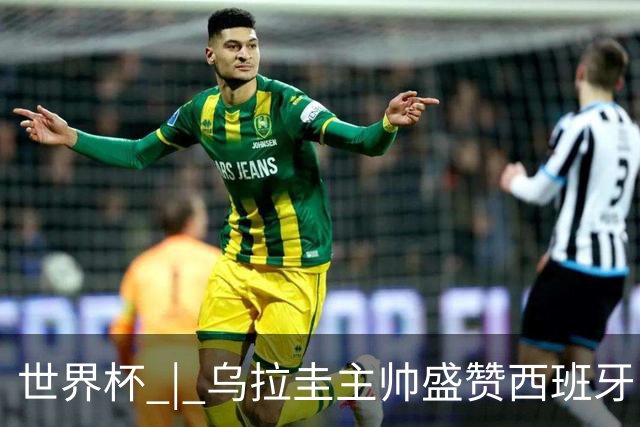 世界杯 | 乌拉圭主帅盛赞西班牙“精致足球”